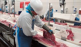 Overview of the supply chain and herd demographics